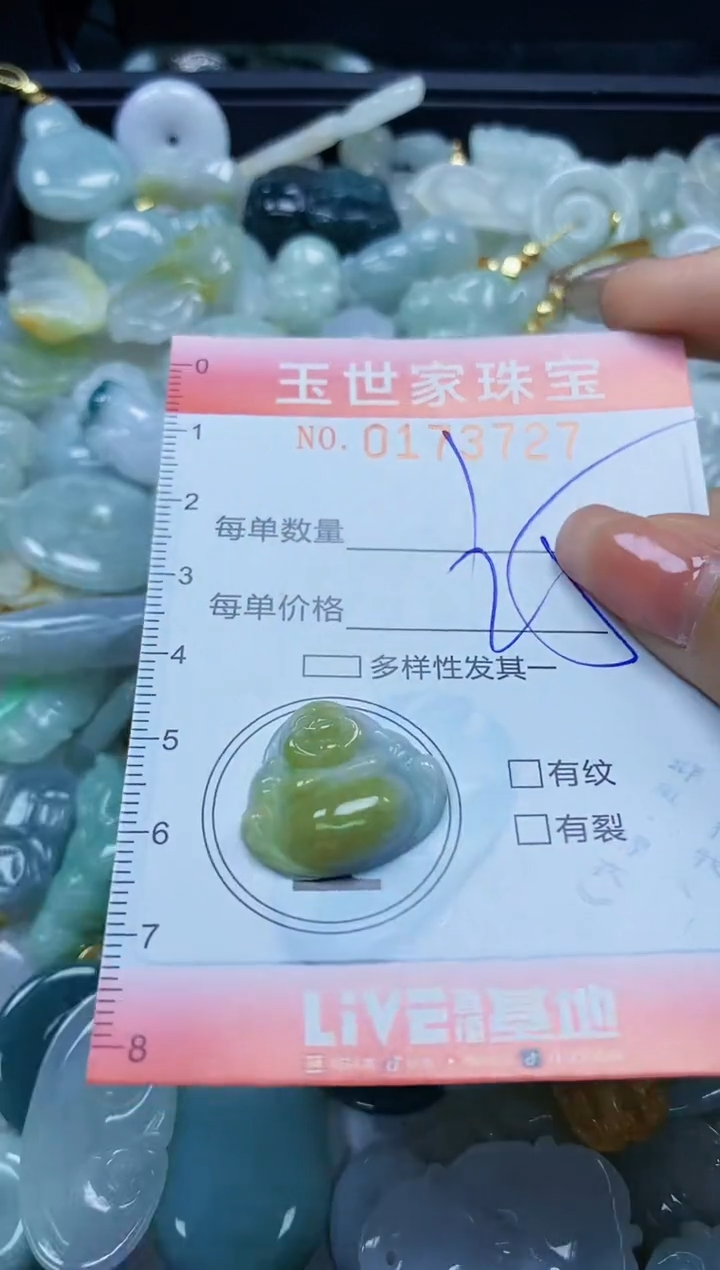 【闪购商品】翡翠颈饰未镶嵌闪购0173727