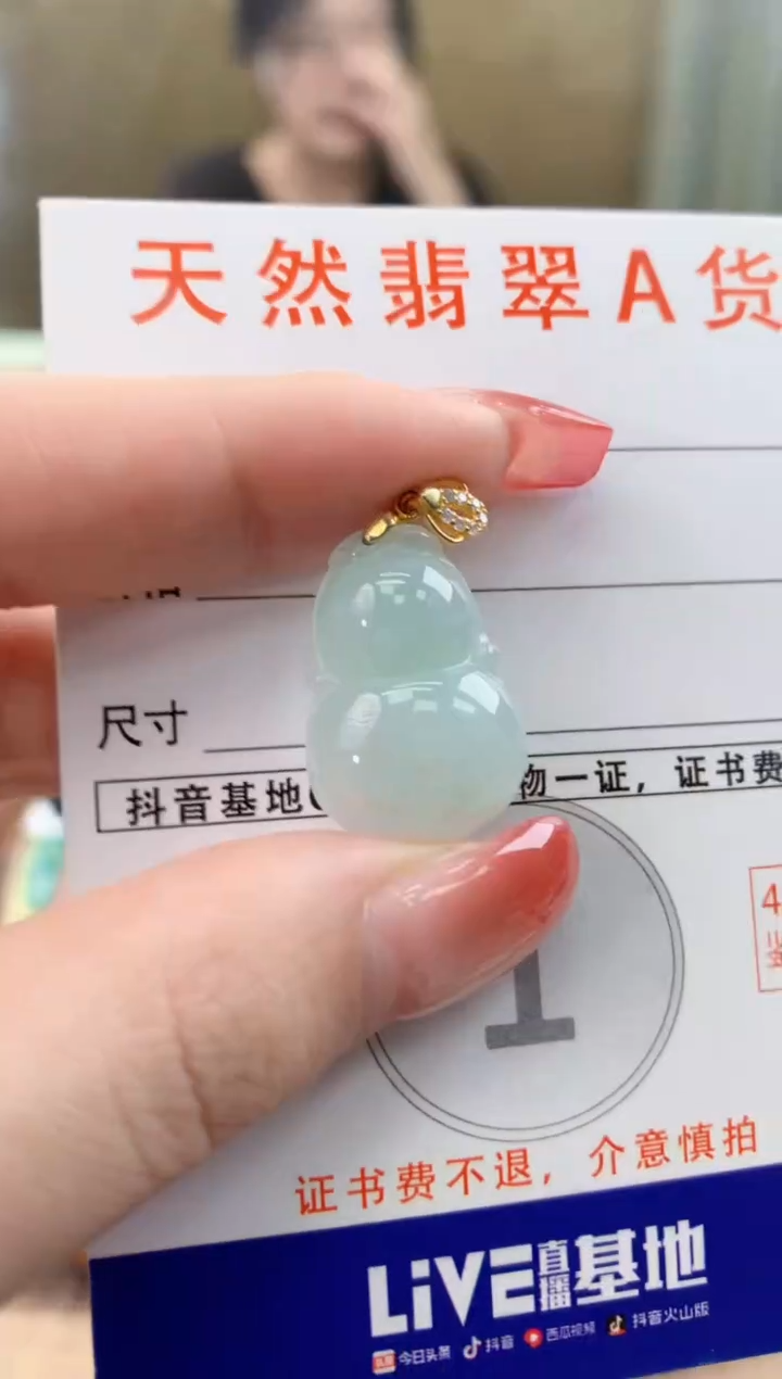 颈饰未镶嵌翡翠 天然A货翡翠挂件