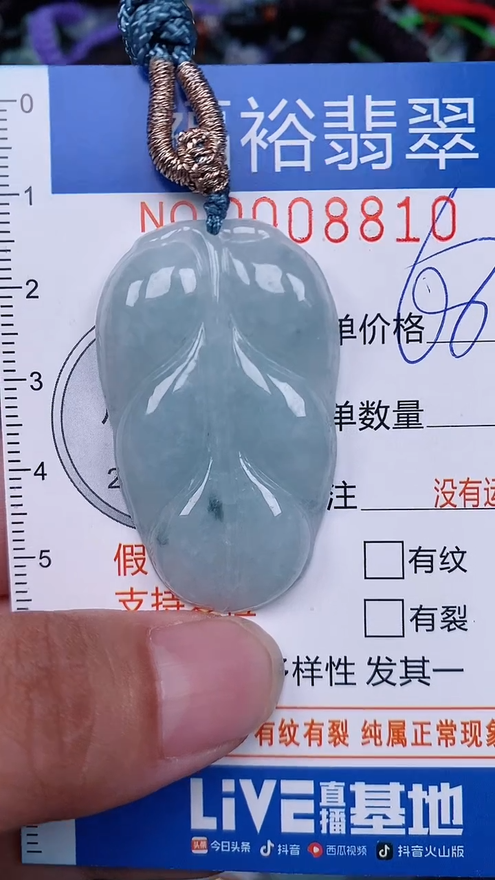 翡翠未镶嵌颈饰...0008810