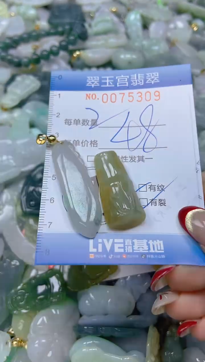 【闪购商品】翡翠颈饰未镶嵌闪购0075309