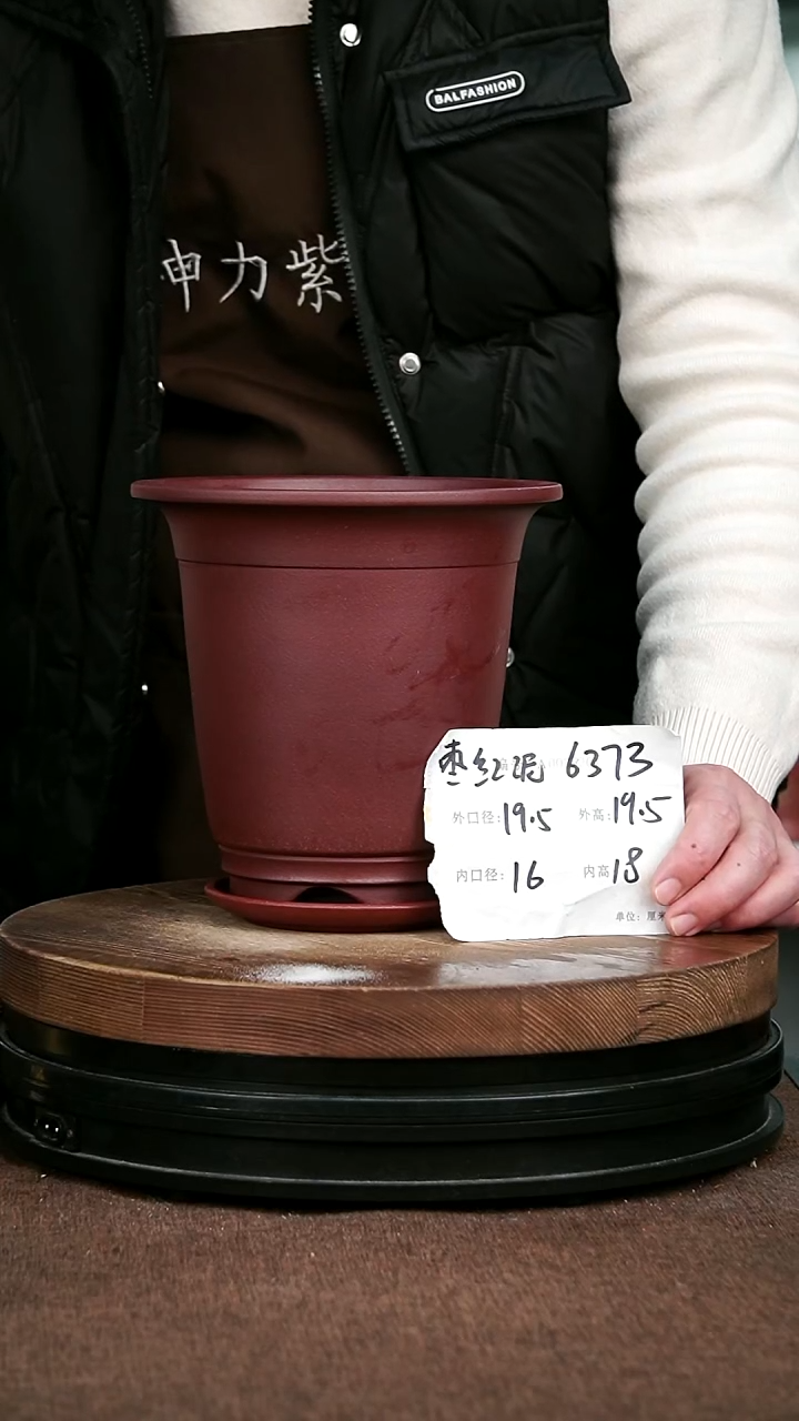 紫砂花盆花卉园艺6373+Z