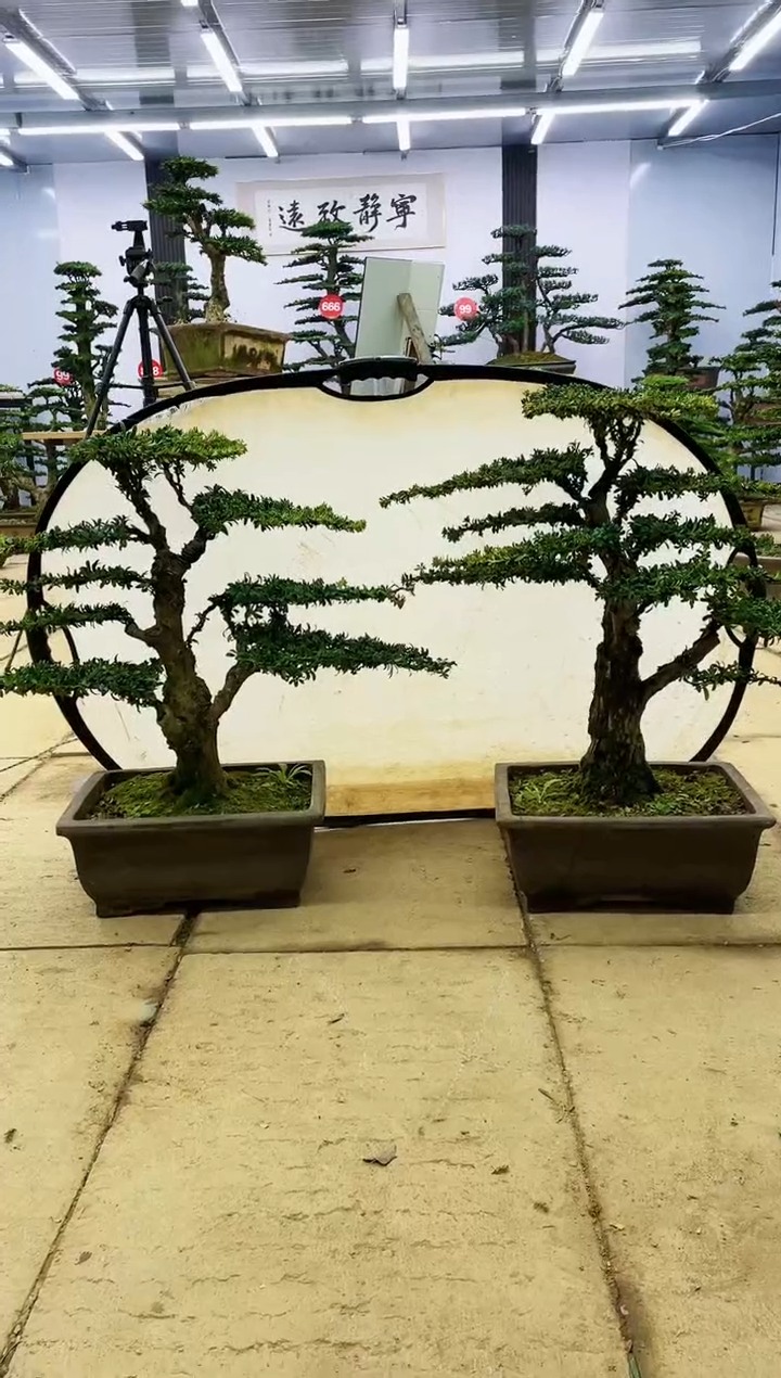 【闪购商品】00000000