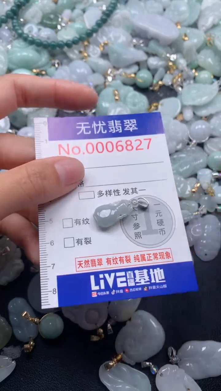 颈饰未镶嵌翡翠6827