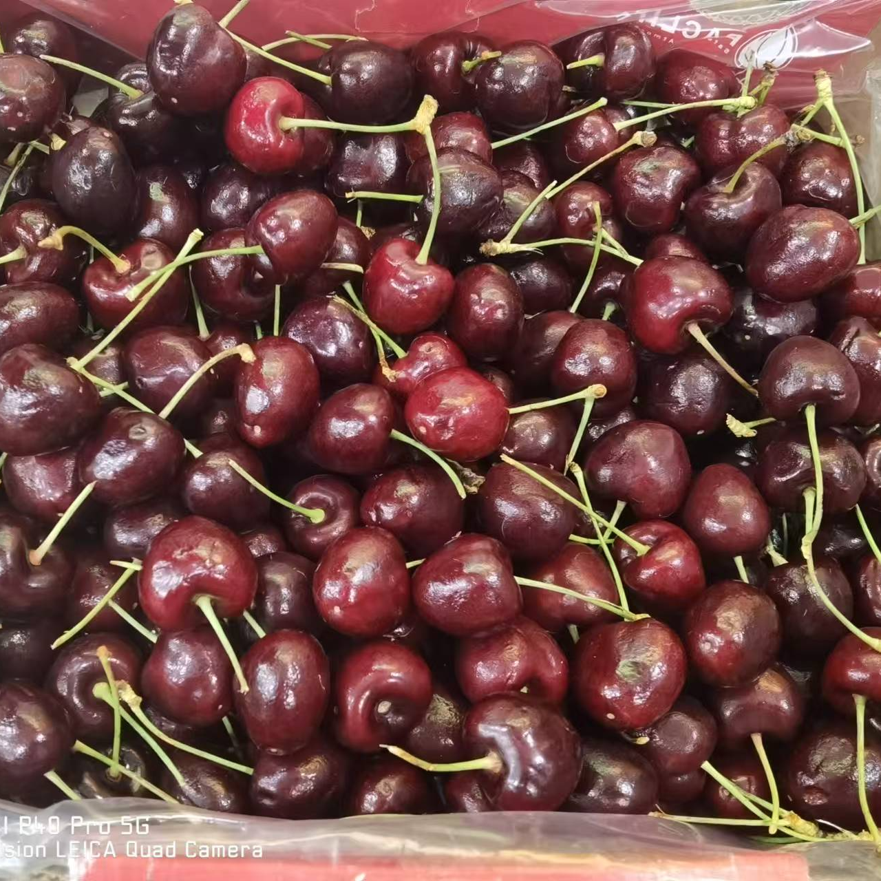 进口车厘子拉宾斯3JD/5斤