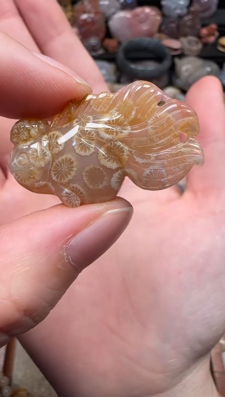 颈饰未镶嵌硅化珊瑚（珊瑚玉）571