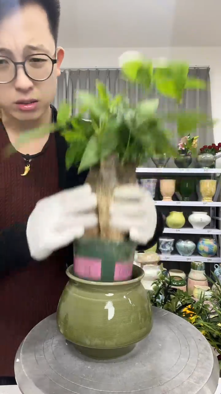 【12.9号】花盆链接 高：14 口：11