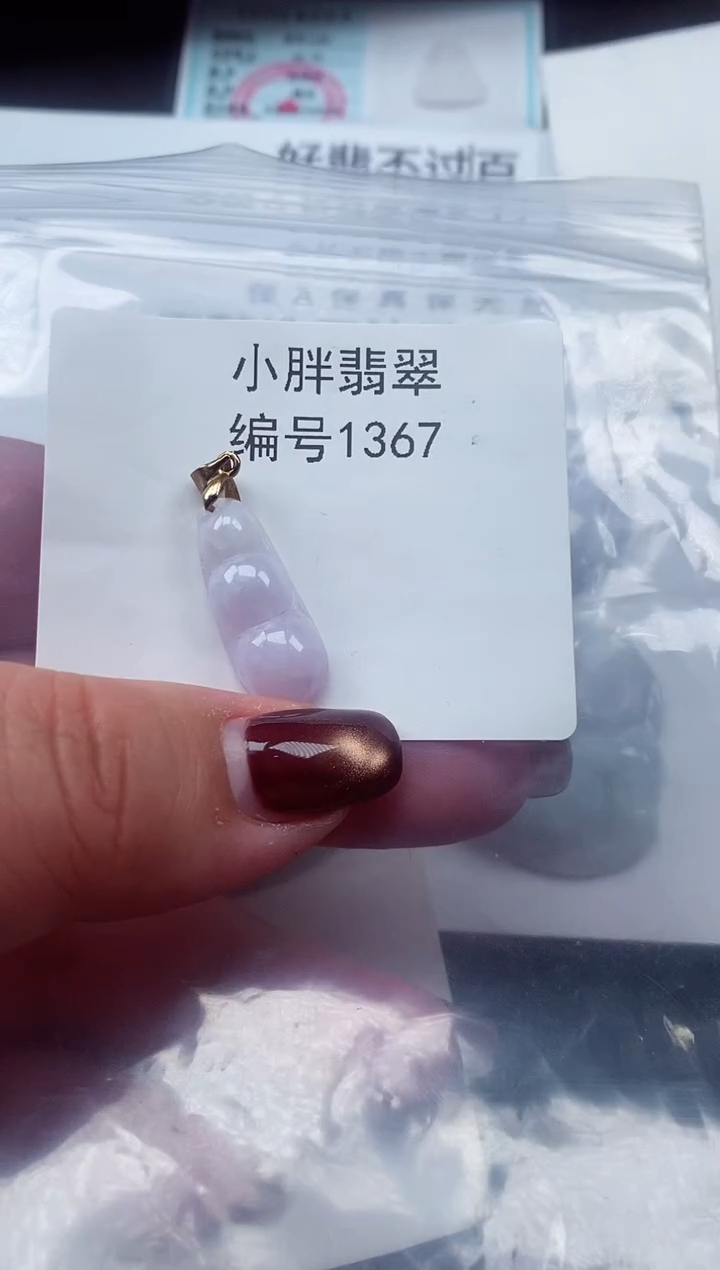 颈饰未镶嵌翡翠缅甸天然A货翡翠1367