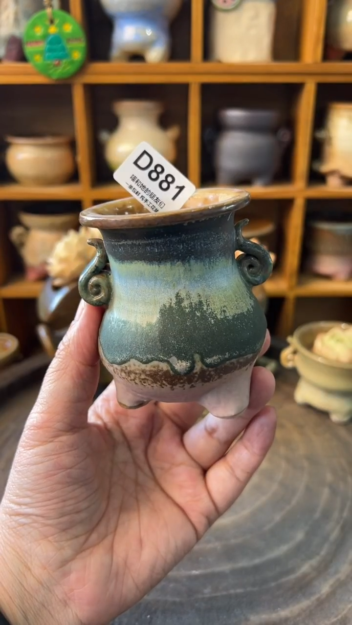 881 内口5【多肉花盆多肉盆】