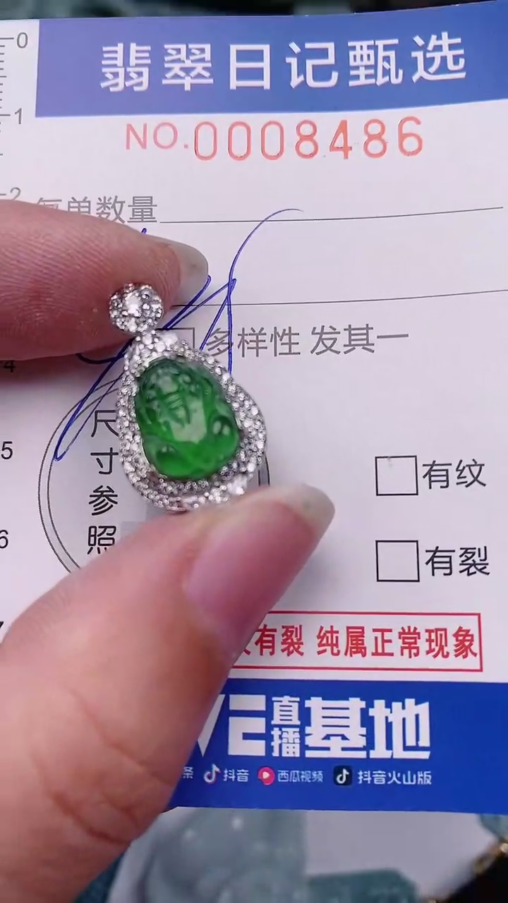 【闪购商品】翡翠颈饰未镶嵌00008486