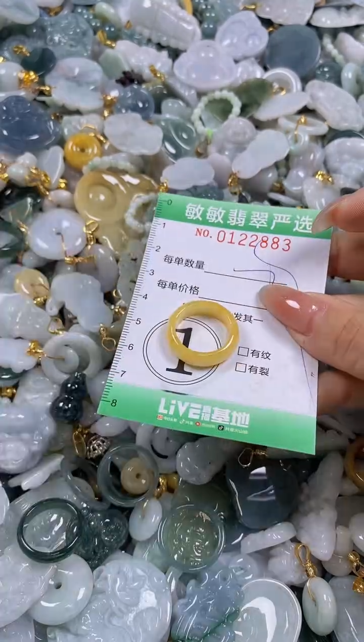 【闪购商品】翡翠颈饰未镶嵌闪购0122883