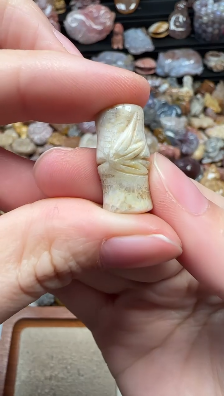 颈饰未镶嵌硅化珊瑚（珊瑚玉）839