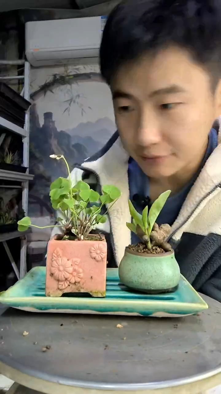 用****5中青园艺一物一拍195