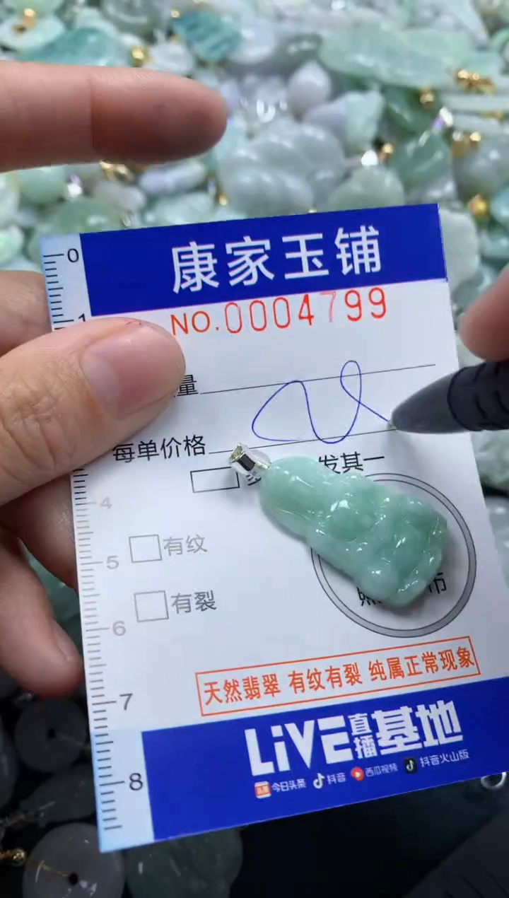 颈饰未镶嵌翡翠4799