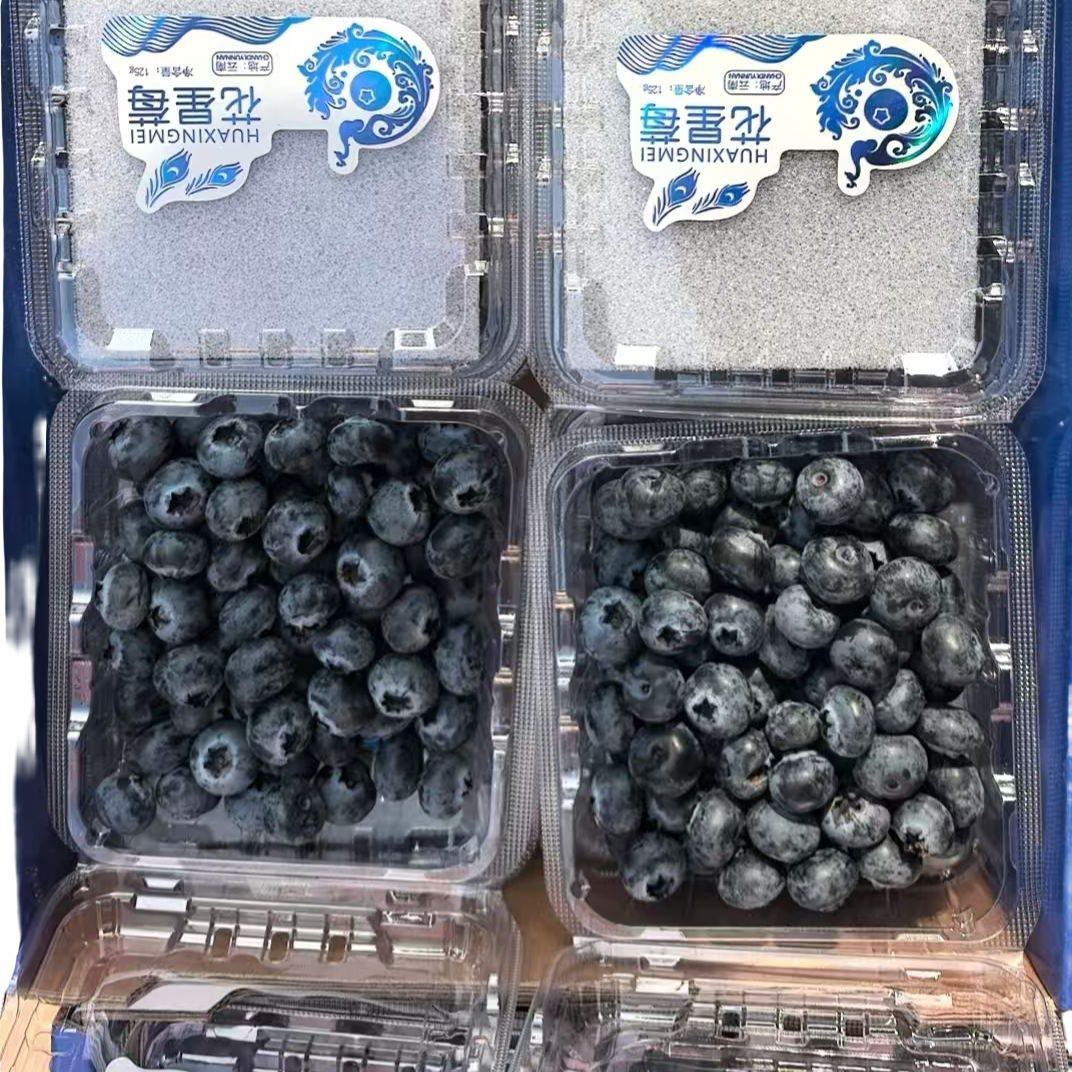 【万邦直发】3盒云南蓝莓125g/盒云南省