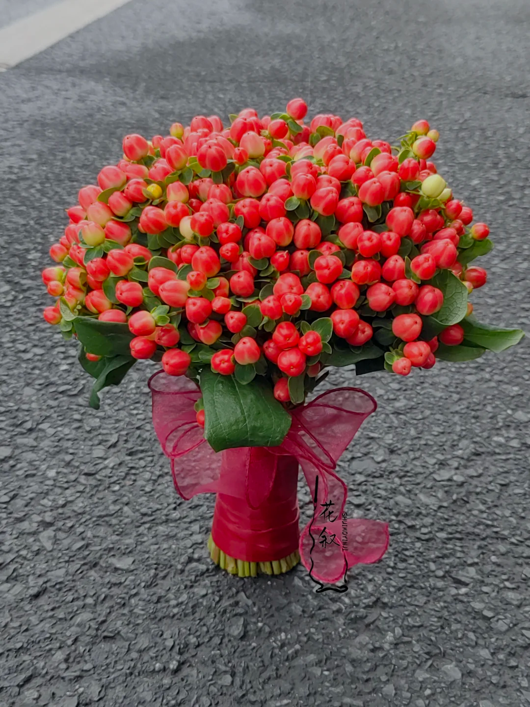 相思豆  收到鲜花第一时间醒花 云南爆品鲜花