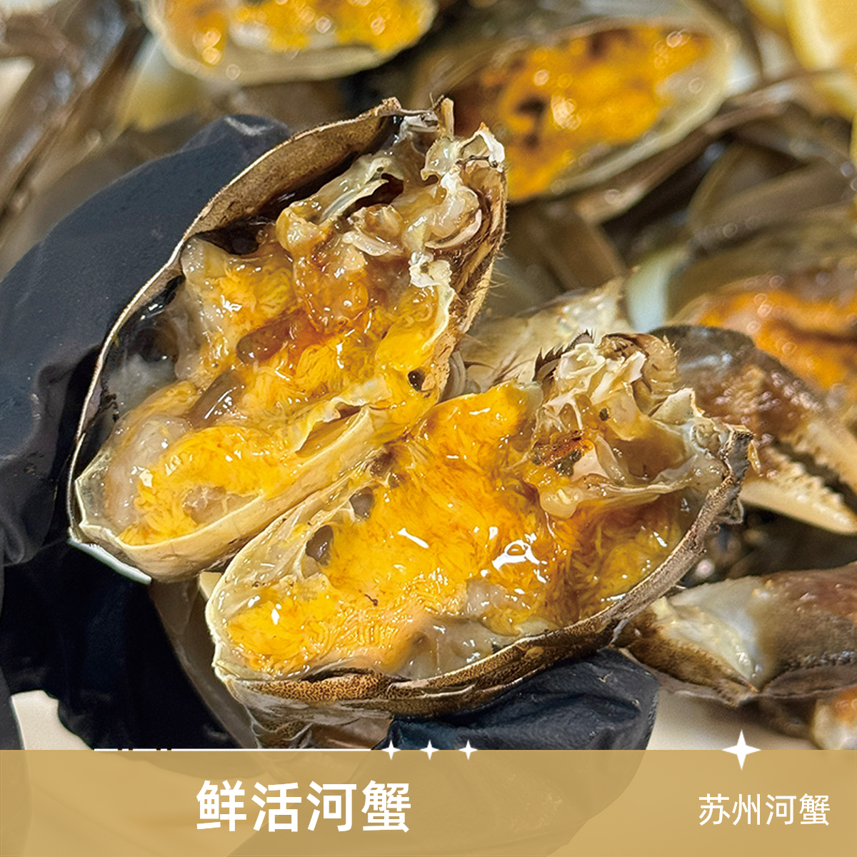 【活蟹】苏州精品河蟹纯母蟹1.1-1.3两/只 15只-18只装