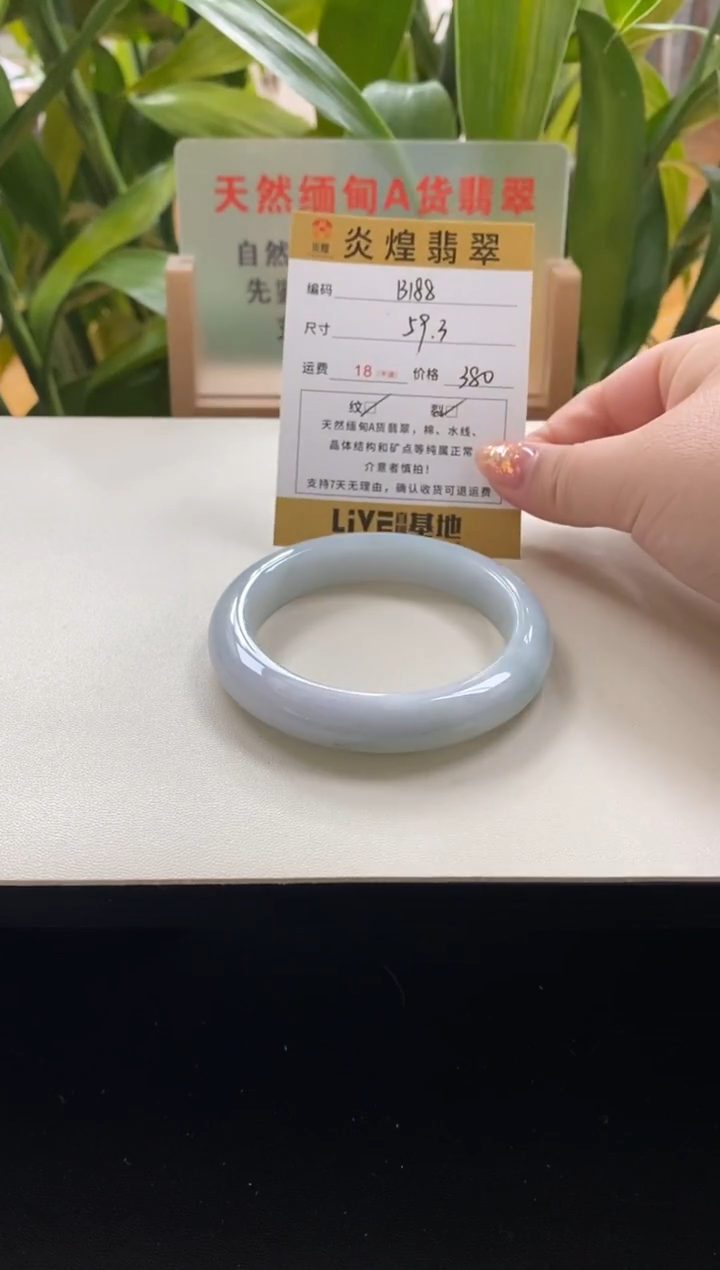 未镶嵌手镯翡翠59.2圈口编码B188