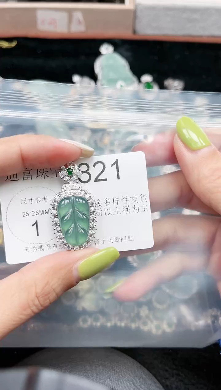 【闪购商品】翡翠颈饰未镶嵌赠皮绳821