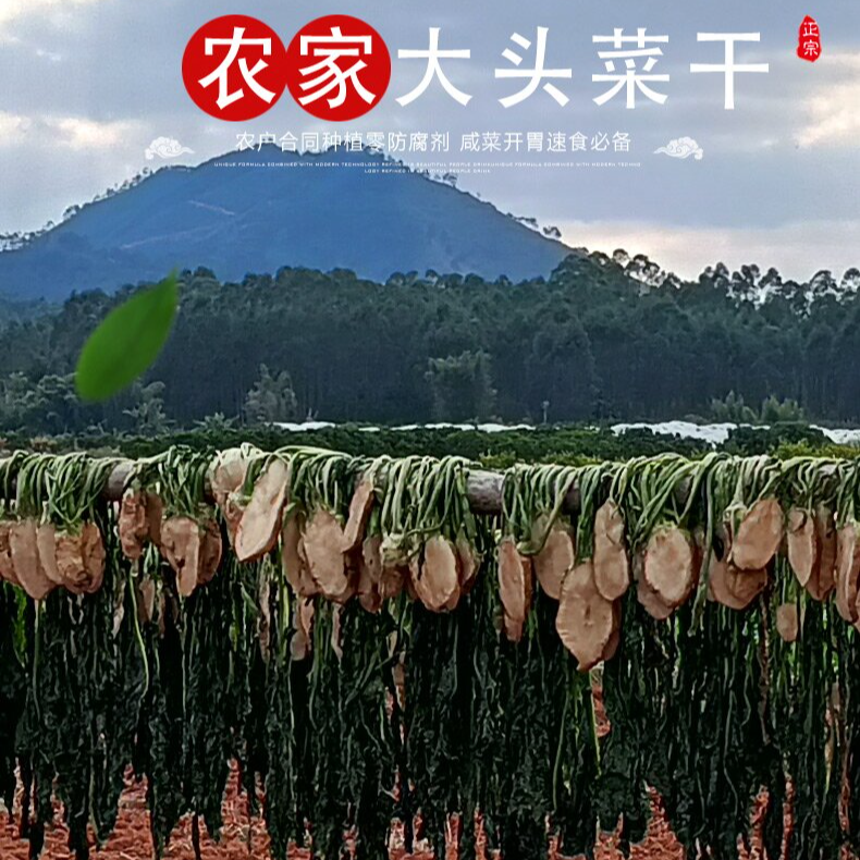 广西土特产大头菜500g孙大婶咸菜下饭菜