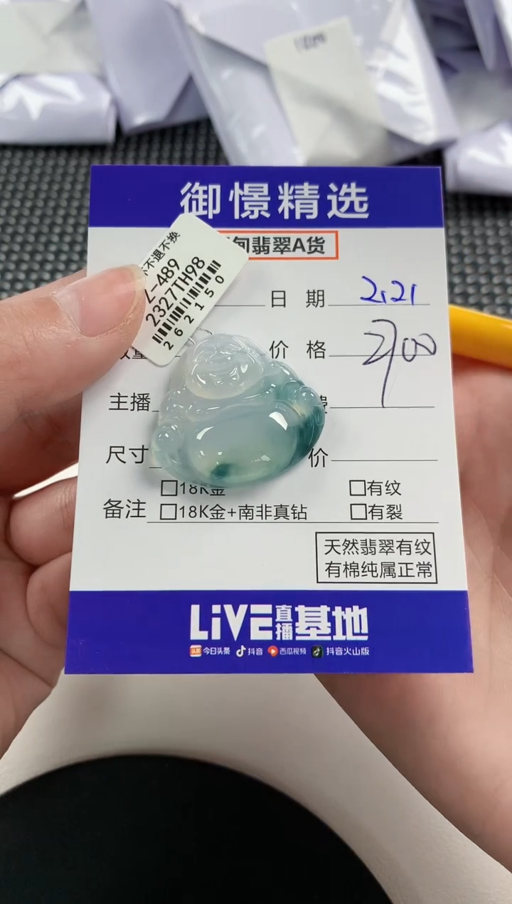 【闪购商品】翡翠颈饰未镶嵌55       