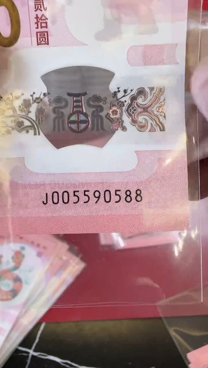 【闪购商品】塑料2025蛇钞单张裸005590588