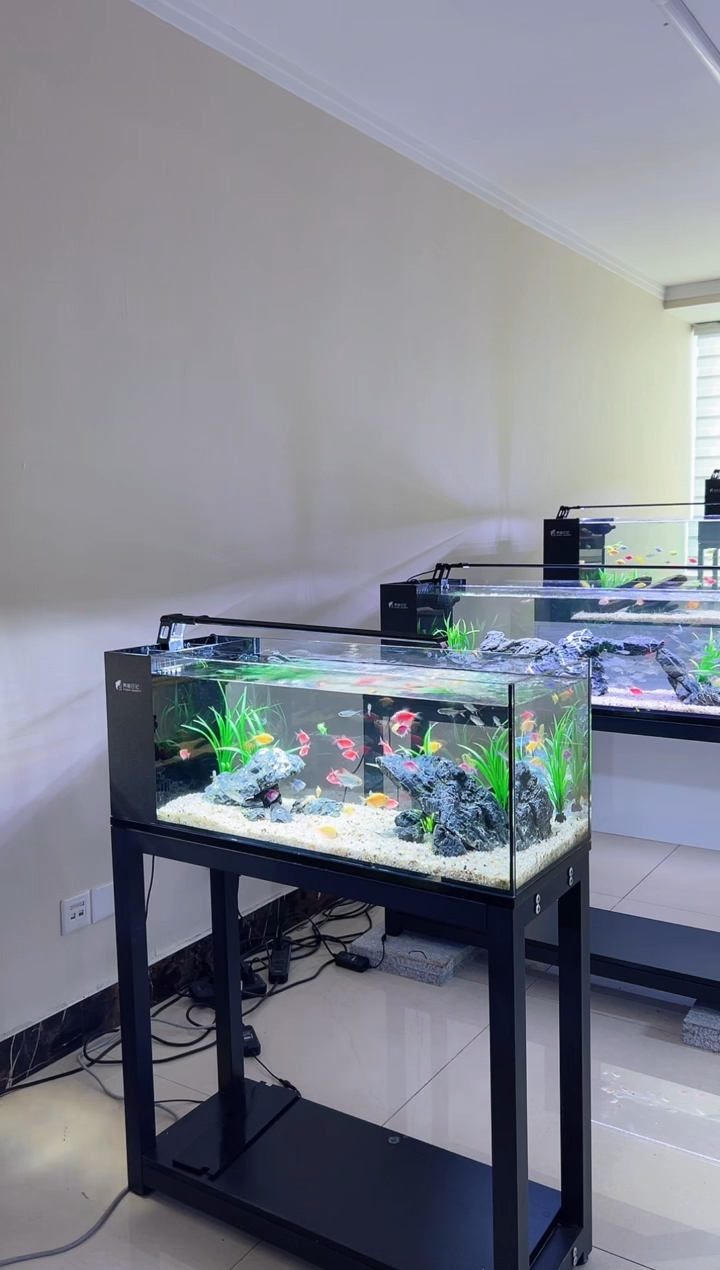 玻璃凯*100-40-30单独造景