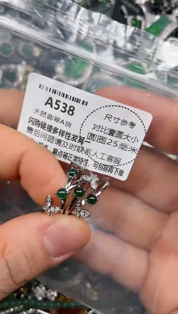 颈饰未镶嵌翡翠A538戒指 多样性发其二