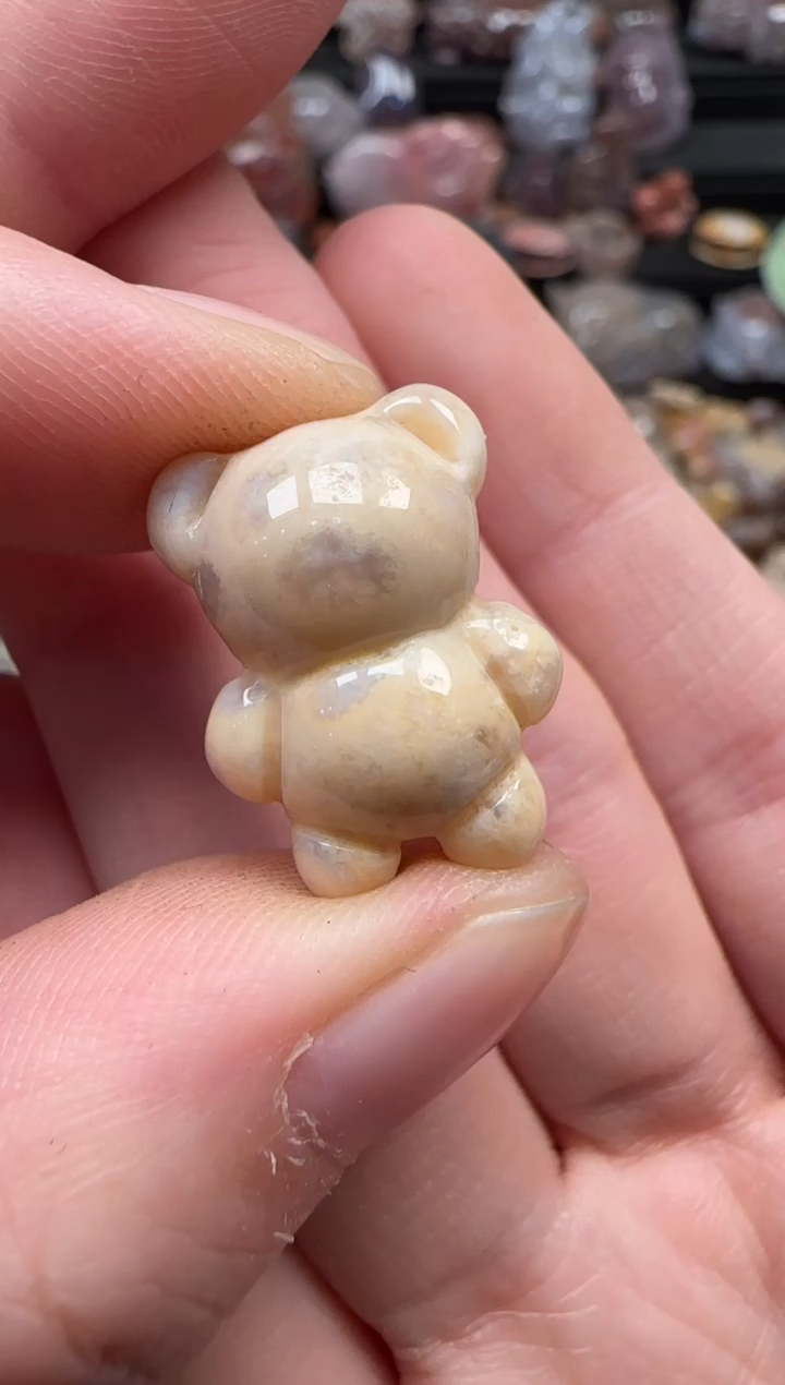 颈饰未镶嵌硅化珊瑚（珊瑚玉）061