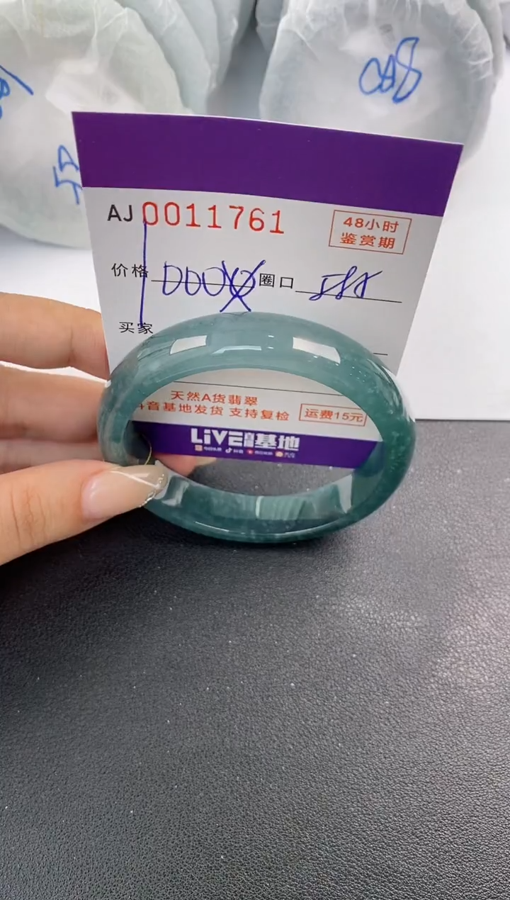 未镶嵌手镯翡翠天然A货翡翠