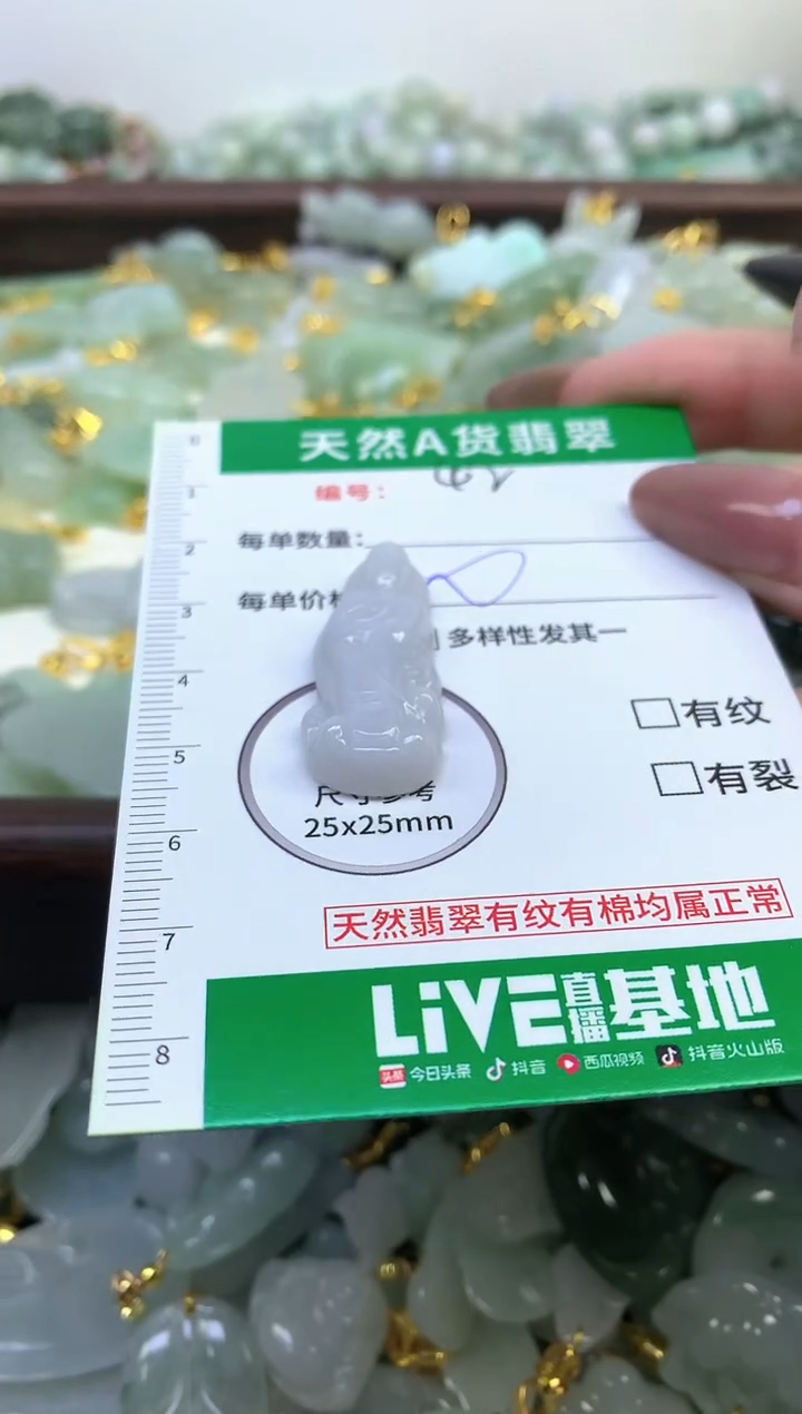 颈饰未镶嵌翡翠纯天然缅甸A货翡翠