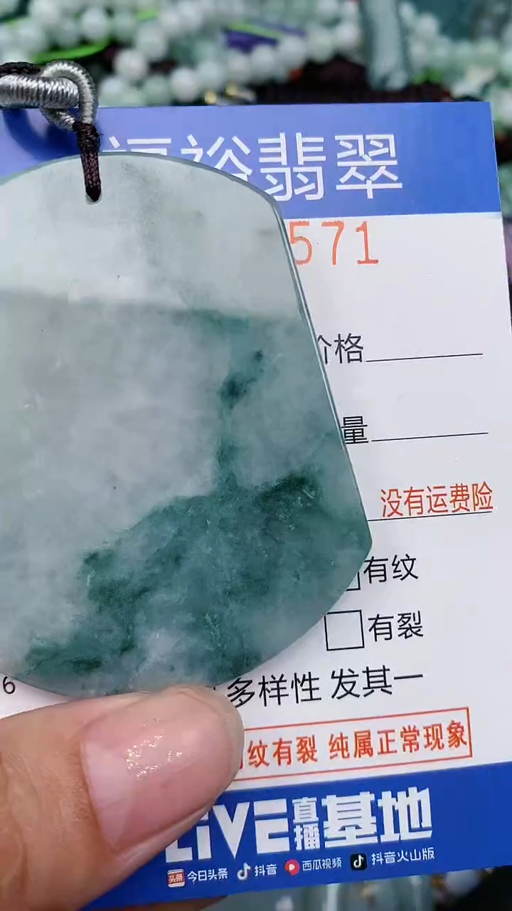 翡翠未镶嵌颈饰...0002571