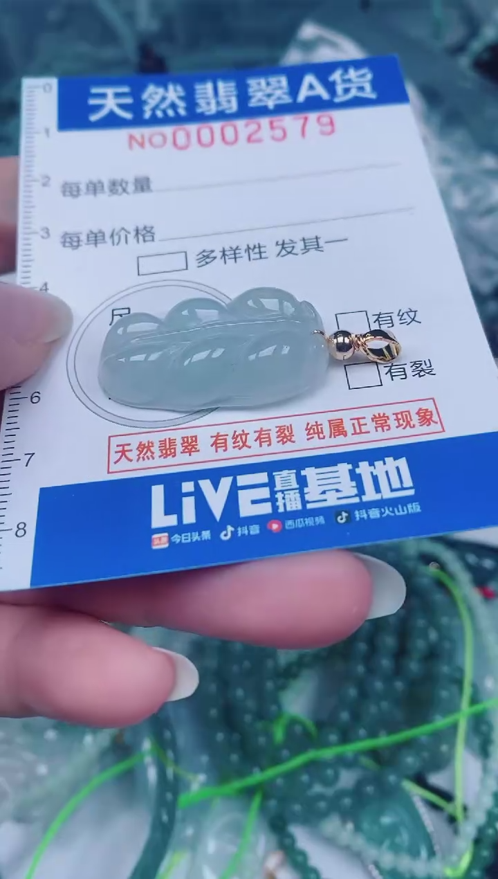 颈饰未镶嵌翡翠00002579