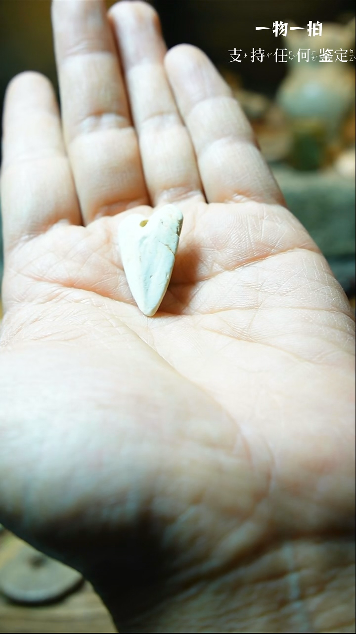 【闪购商品】和田玉颈饰未镶嵌100