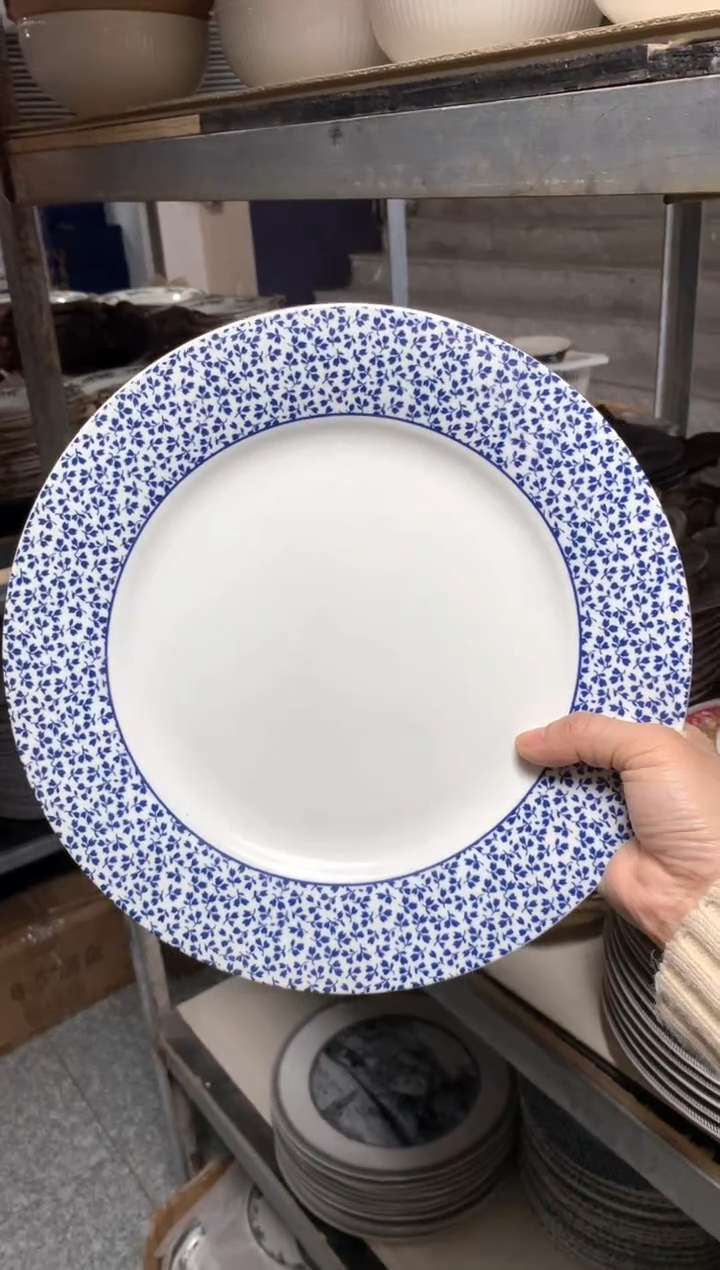 【闪购商品】瓷片CC349陶瓷没有完美无瑕陶瓷1个大