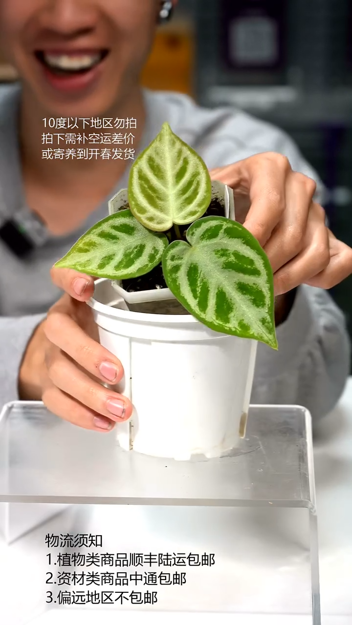 完全开放液态银   