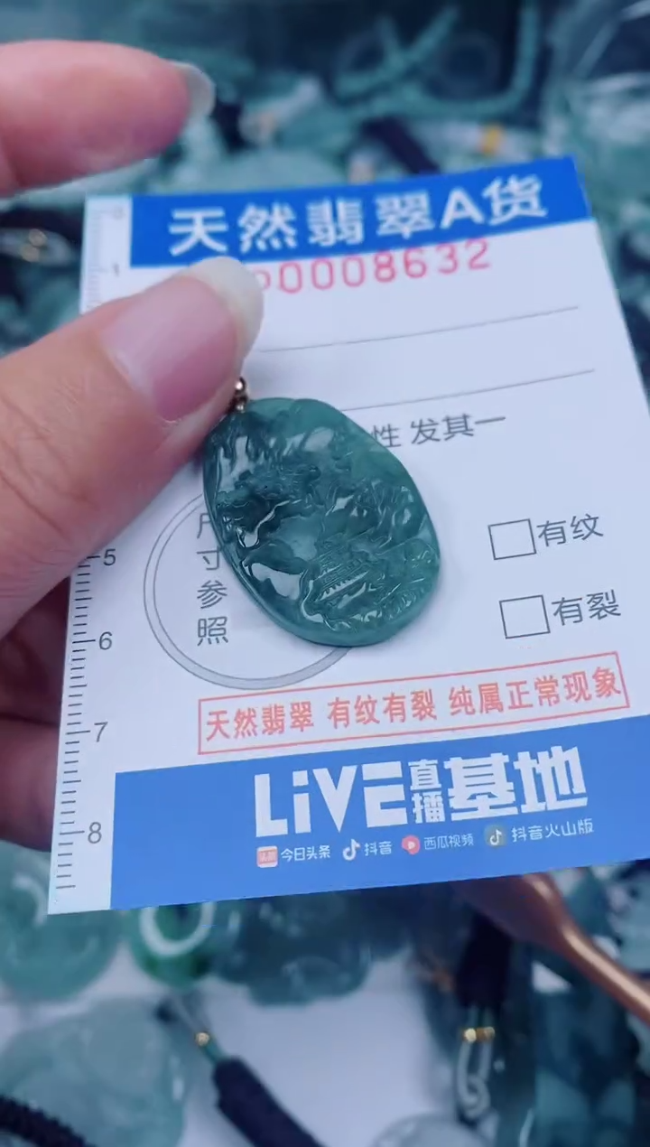 颈饰未镶嵌翡翠00008632