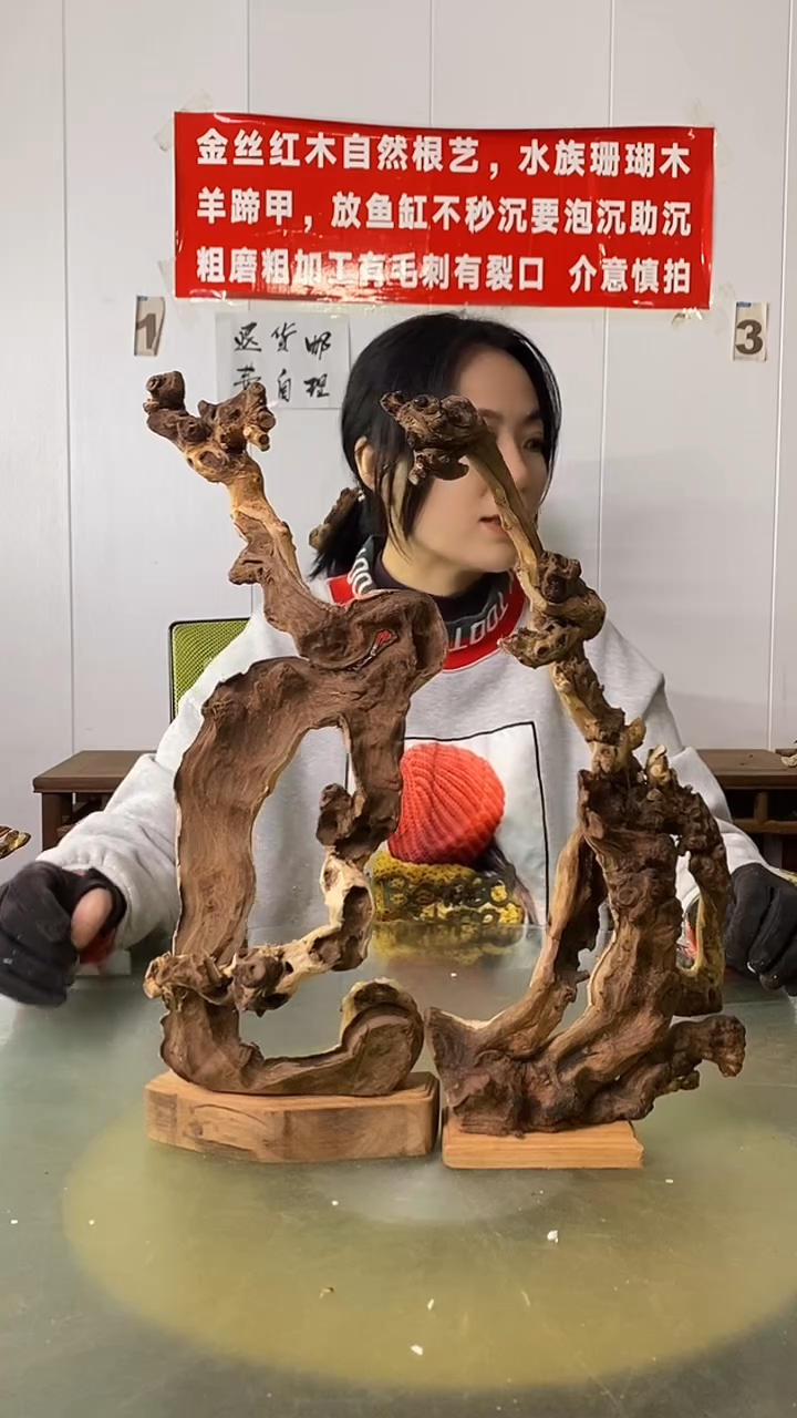 木?****️金丝红木  羊蹄甲