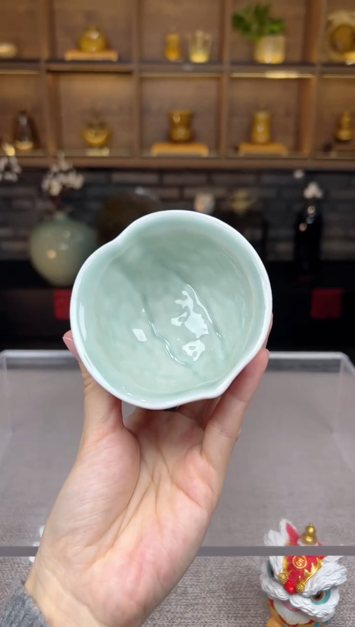 【闪购商品】无尽藏 专属福利单 VVV 