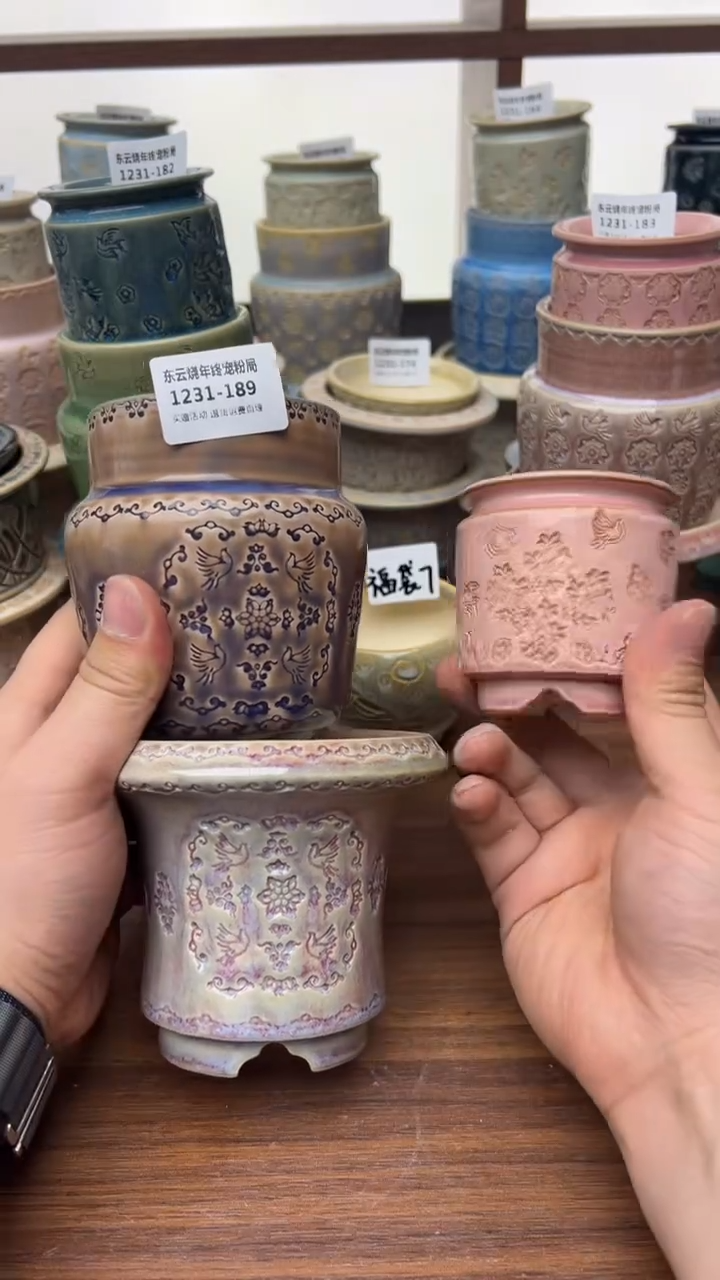 1231-189 内口7  拍一发三限时福利