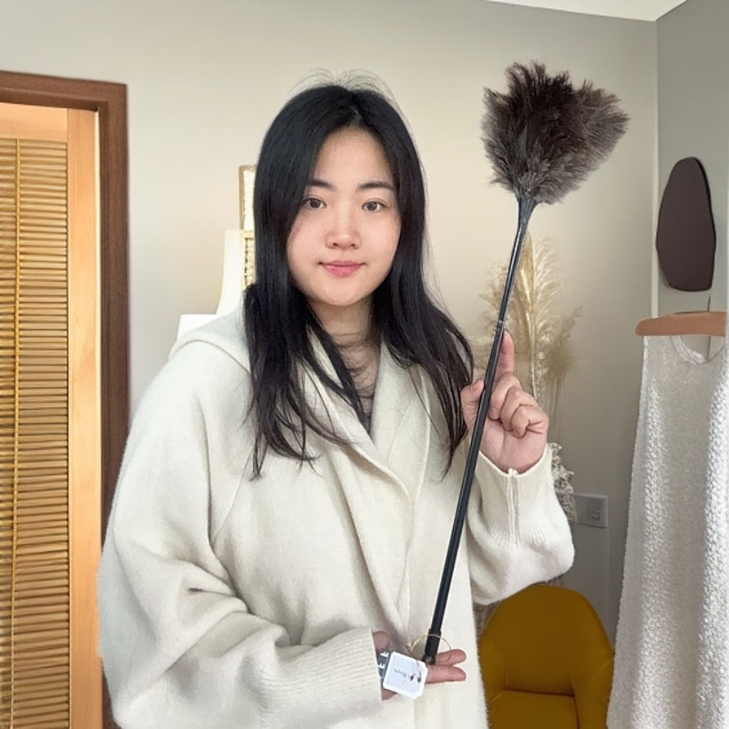 鸵飞飞鸵鸟毛掸子家用打扫装饰除尘长柄逗猫棒可水洗签到优价好物