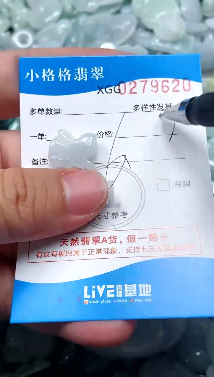 翡翠未镶嵌颈饰闪购商品0279620