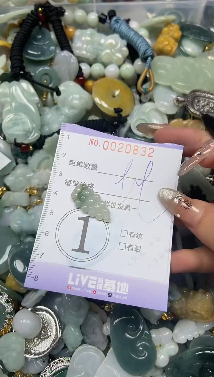 【闪购商品】翡翠颈饰未镶嵌闪购0020832