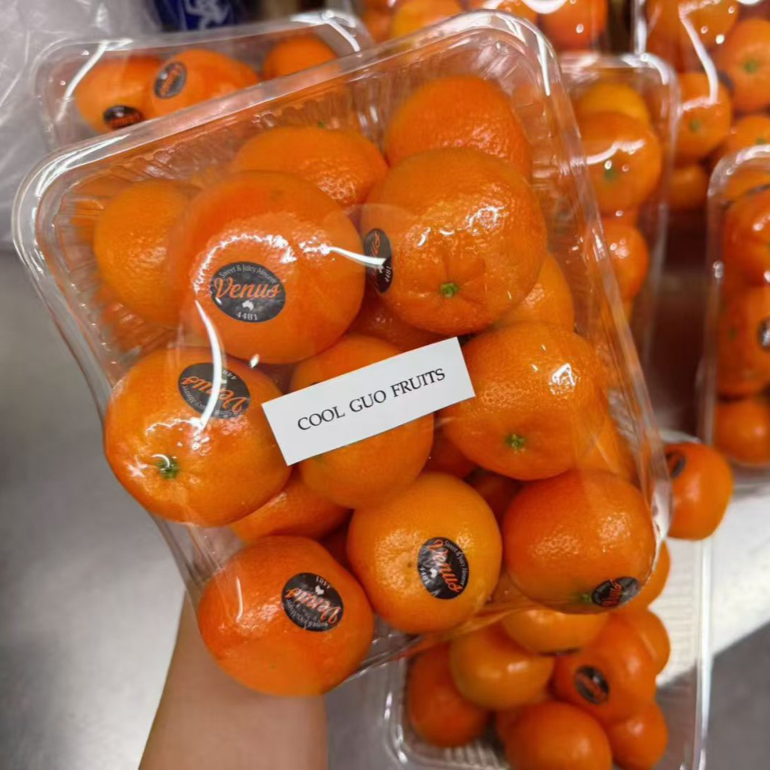 澳州mini蜜橘 1.5kg