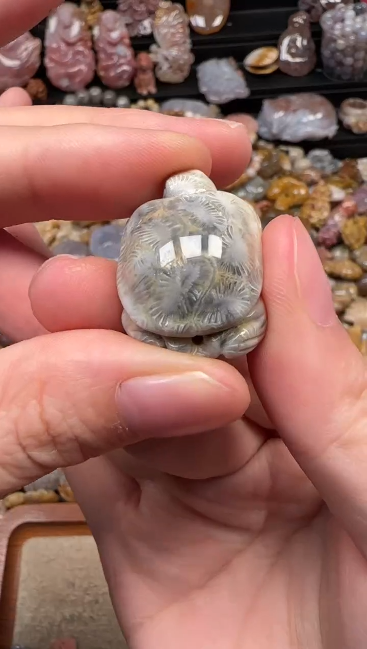 颈饰未镶嵌硅化珊瑚（珊瑚玉）219