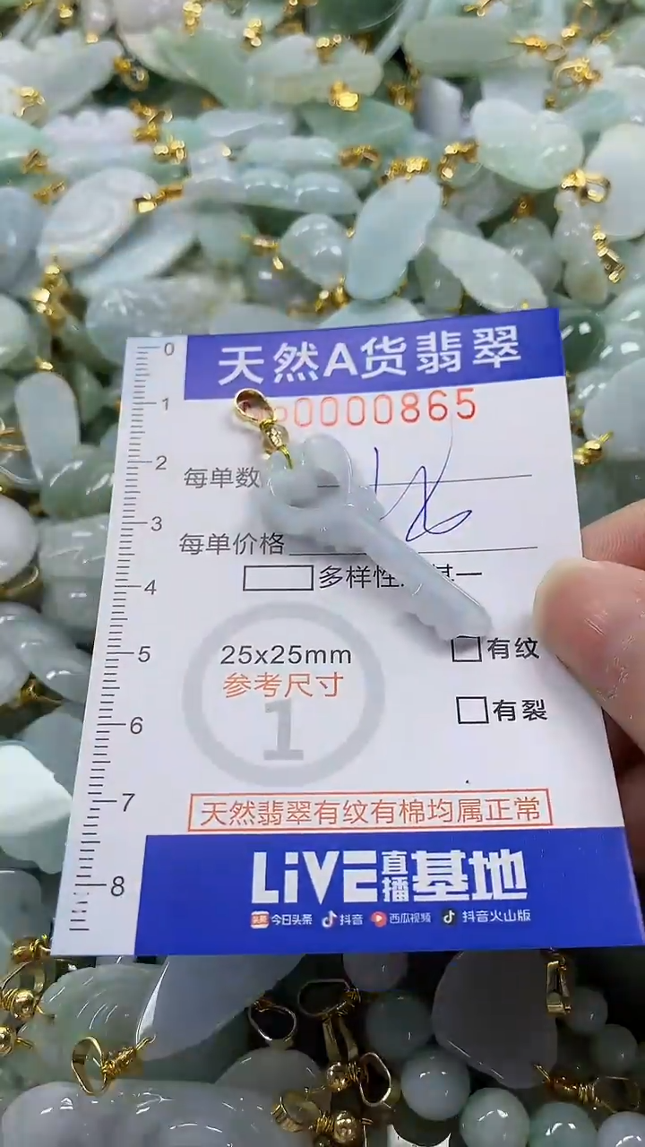 颈饰未镶嵌翡翠纯天然a货翡翠