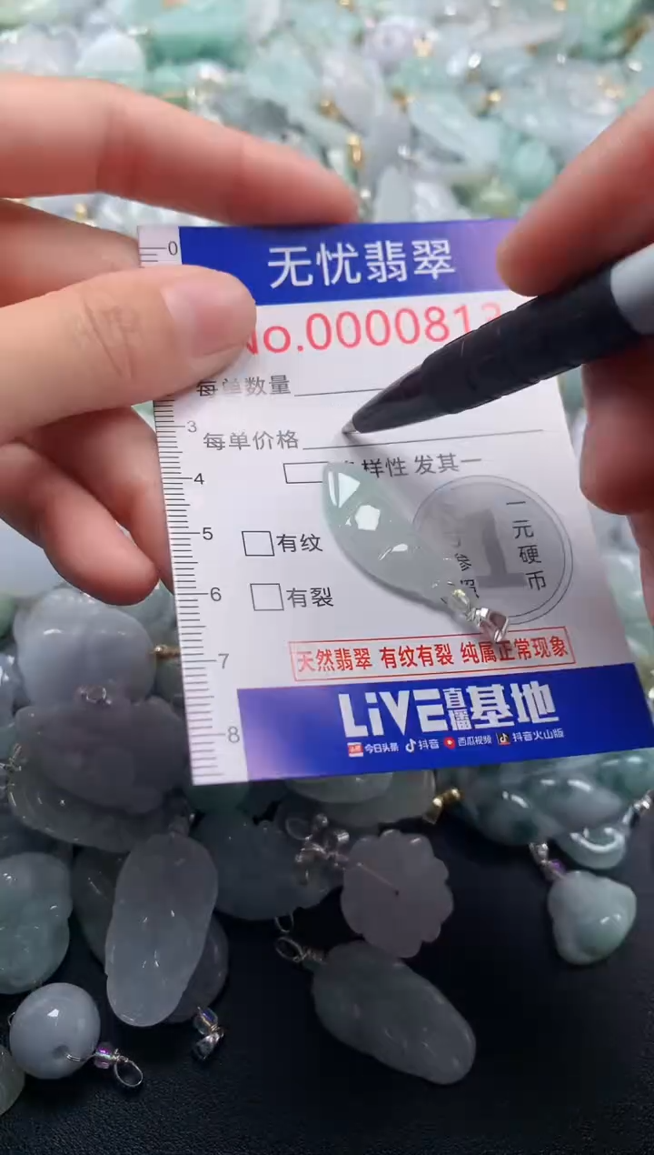 颈饰未镶嵌翡翠813