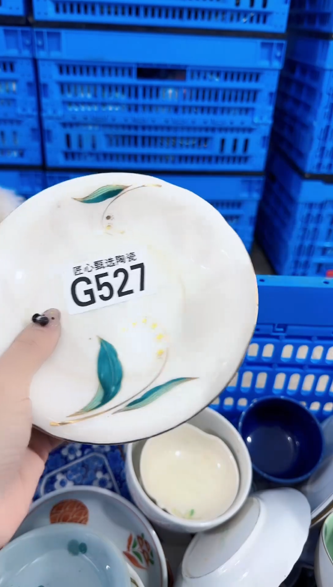 瓷片芬           G527