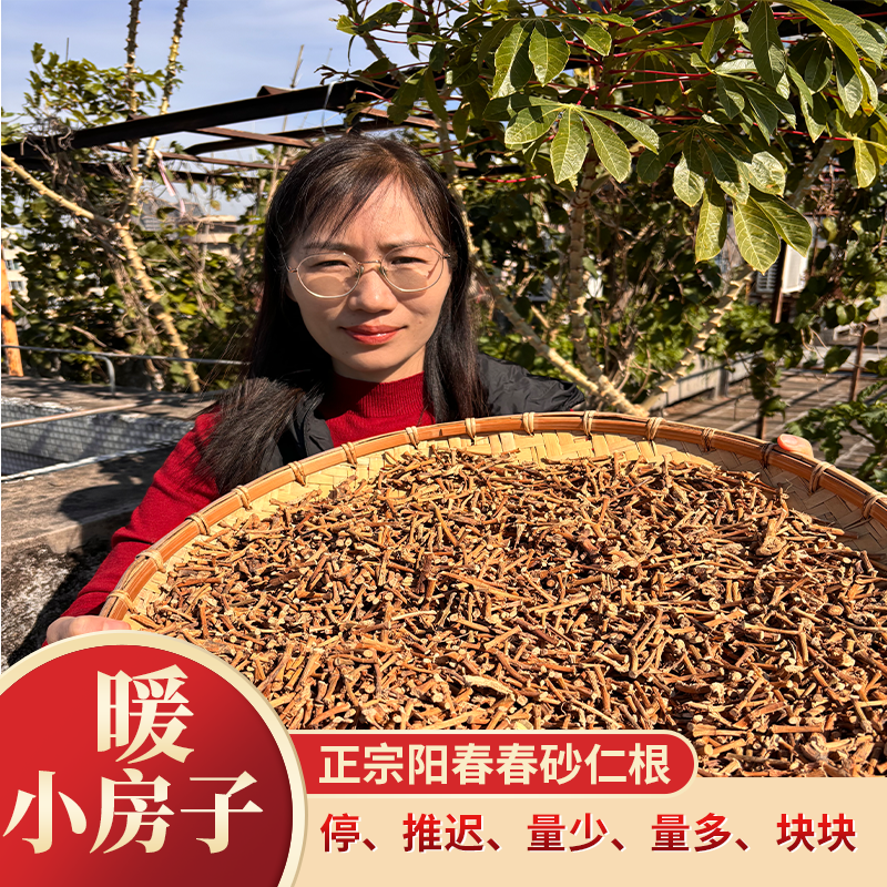 【时宜优选】正宗阳春春砂仁根煲鸡汤汤料