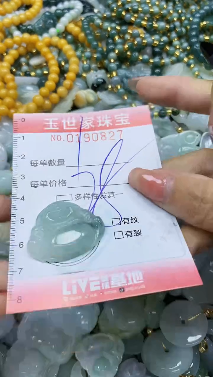 【闪购商品】翡翠颈饰未镶嵌闪购0190827