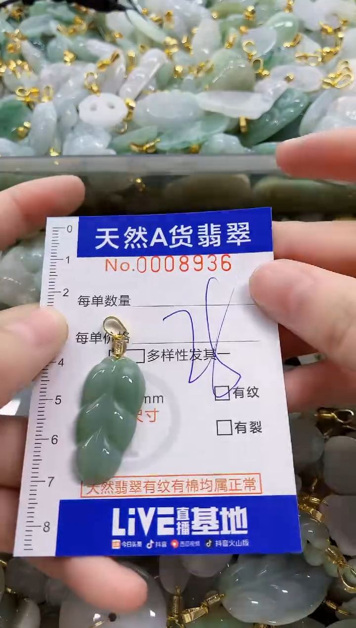 颈饰未镶嵌翡翠天然A货翡翠